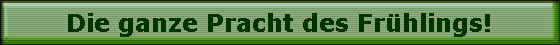 Die ganze Pracht des Fr�hlings!
