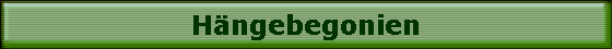 H�ngebegonien