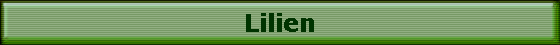 Lilien