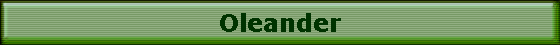 Oleander