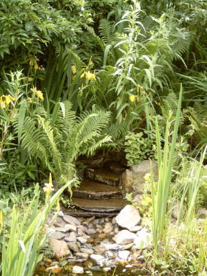 Wasserfall