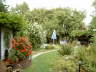Garten hinten