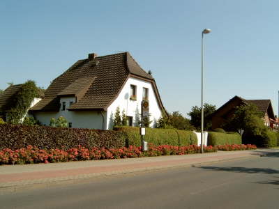 Langes Rosenbeet