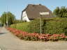 Unsere dicke Hecke