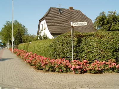 Unsere dicke Hecke