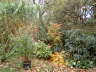 Noch mehr Herbststimmumg