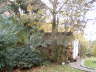 Holz vor der H�tte