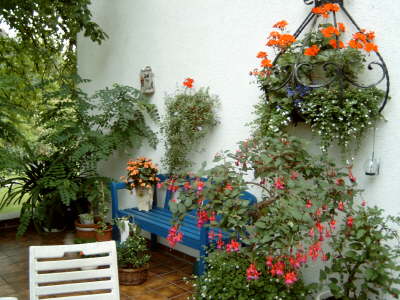 Terrasse